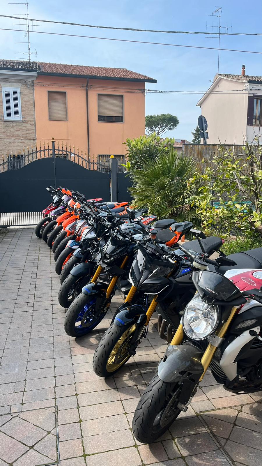 Big lineup